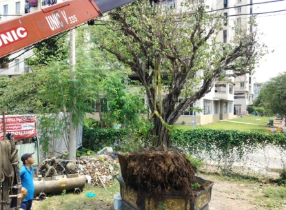 Dịch Vụ Cẩu Hàng Hóa Tại HCM