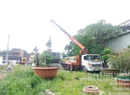 Vận Chuyển Hàng Hóa Chuyên Nghiệp - Xe Cẩu Hà Râu